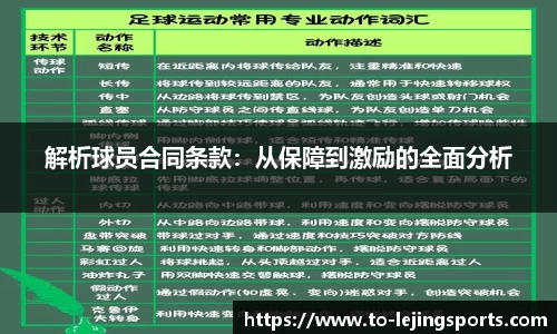 解析球员合同条款：从保障到激励的全面分析